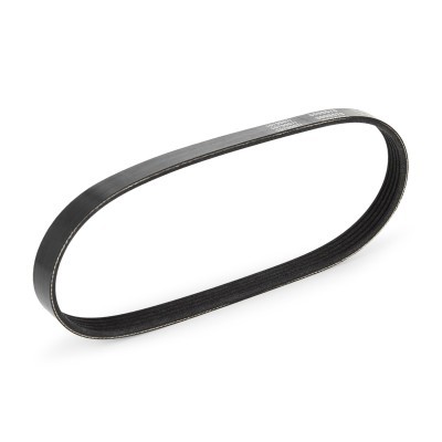 Pasek Klinowy Wielorowkowy RIDEX 305P0120 305P0120 - foto 4