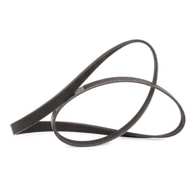 Pasek Klinowy Wielorowkowy RIDEX 305P0136P 305P0136P - foto 3
