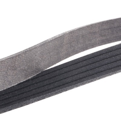 Pasek Klinowy Wielorowkowy RIDEX 305P0037P 305P0037P - foto 5