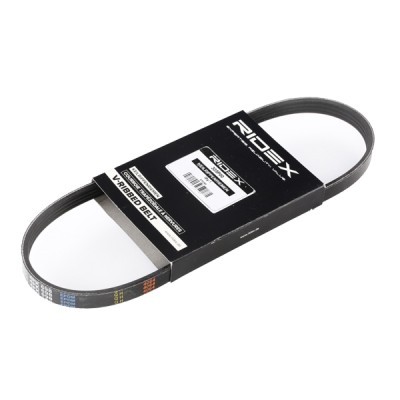 Pasek Klinowy Wielorowkowy RIDEX 305P0166 305P0166 - foto 3