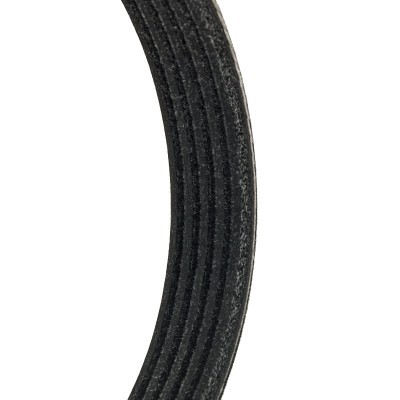 Pasek Klinowy Wielorowkowy RIDEX 305P0336P 305P0336P - foto 4