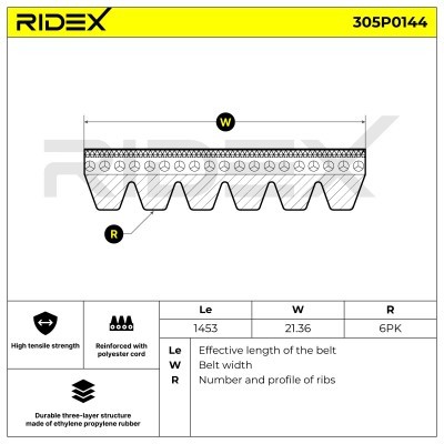 Pasek Klinowy Wielorowkowy RIDEX 305P0144 305P0144 - foto 5