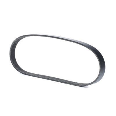 Pasek Klinowy Wielorowkowy RIDEX 305P0297 305P0297 - foto 3