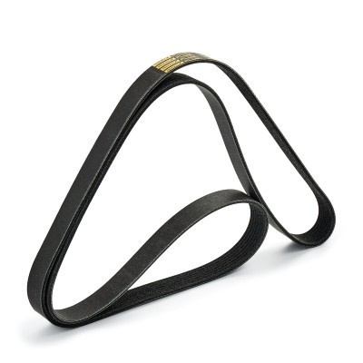 Pasek Klinowy Wielorowkowy RIDEX 305P0408P 305P0408P - foto 4