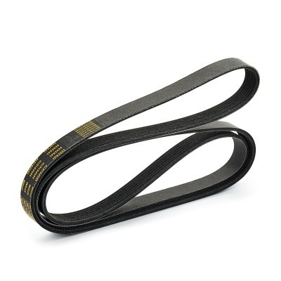 Pasek Klinowy Wielorowkowy RIDEX 305P0107P 305P0107P - foto 4