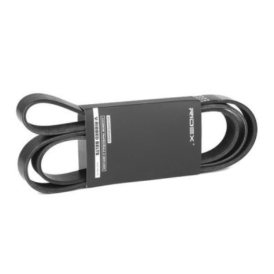 Pasek Klinowy Wielorowkowy RIDEX 305P0223 305P0223 - foto 3