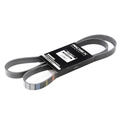 Pasek Klinowy Wielorowkowy RIDEX 305P0250 305P0250 - foto 2