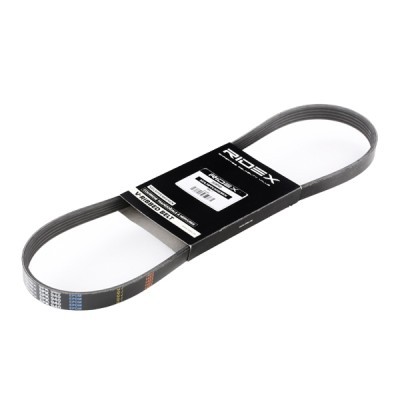 Pasek Klinowy Wielorowkowy RIDEX 305P0029 305P0029 - foto 2