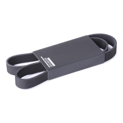Pasek Klinowy Wielorowkowy RIDEX 305P0509 305P0509 - foto 2