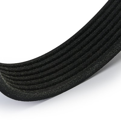 Pasek Klinowy Wielorowkowy RIDEX 305P0496 305P0496 - foto 4