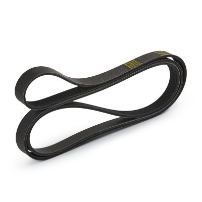 Pasek Klinowy Wielorowkowy RIDEX 305P0128P 305P0128P - foto 4