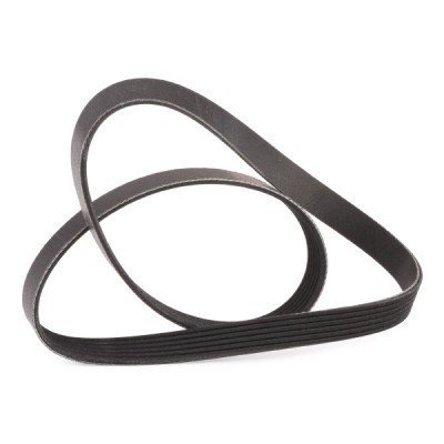 Pasek Klinowy Wielorowkowy RIDEX 305P0397P 305P0397P - foto 3