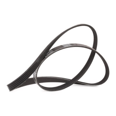 Pasek Klinowy Wielorowkowy RIDEX 305P0392P 305P0392P - foto 3