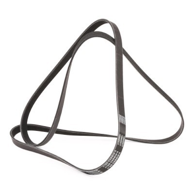 Pasek Klinowy Wielorowkowy RIDEX 305P0365P 305P0365P - foto 3