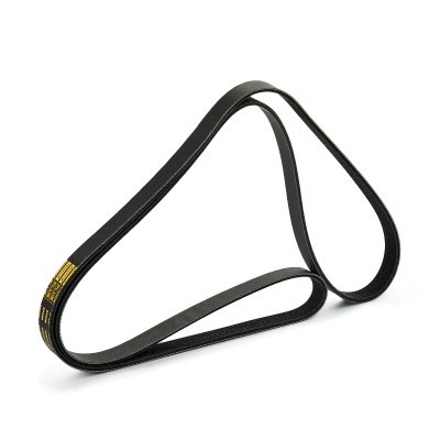 Pasek Klinowy Wielorowkowy RIDEX 305P0142P 305P0142P - foto 4