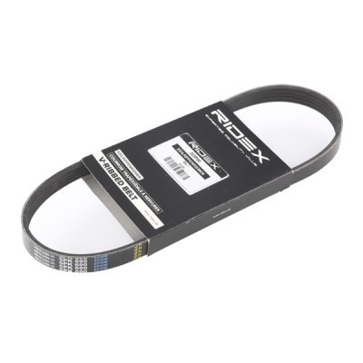 Pasek Klinowy Wielorowkowy RIDEX 305P0117 305P0117 - foto 3