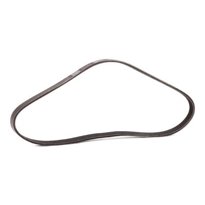 Pasek Klinowy Wielorowkowy RIDEX 305P0311P 305P0311P - foto 3
