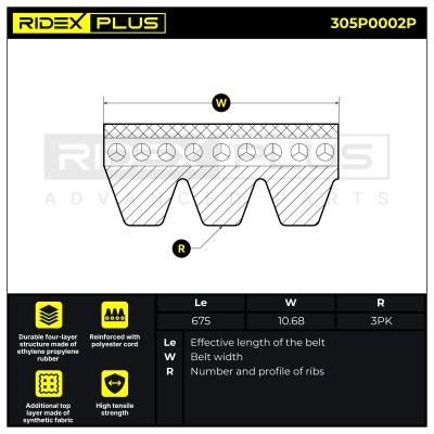 Pasek Klinowy Wielorowkowy RIDEX 305P0002P 305P0002P - foto 3