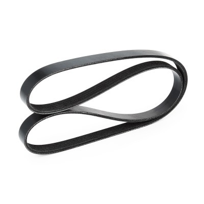 Pasek Klinowy Wielorowkowy RIDEX 305P0156 305P0156 - foto 4