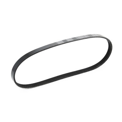 Pasek Klinowy Wielorowkowy RIDEX 305P0007 305P0007 - foto 4