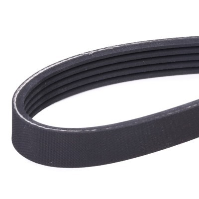 Pasek Klinowy Wielorowkowy RIDEX 305P0386 305P0386 - foto 4