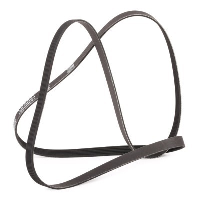 Pasek Klinowy Wielorowkowy RIDEX 305P0178P 305P0178P - foto 3
