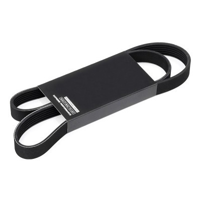 Pasek Klinowy Wielorowkowy RIDEX 305P0334 305P0334 - foto 2