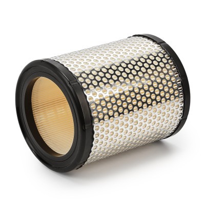 Filtr Powietrza RIDEX 8A0106 8A0106 - foto 8