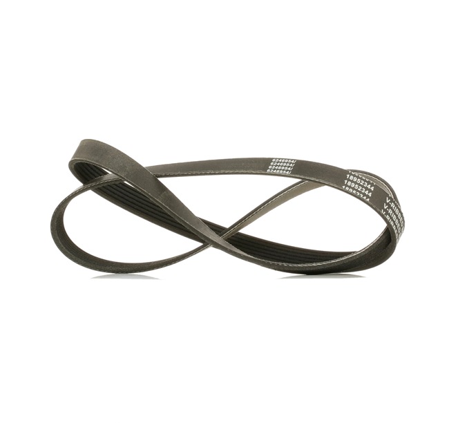 Pasek Klinowy Wielorowkowy RIDEX 305P0170P 305P0170P - foto 1
