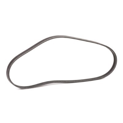 Pasek Klinowy Wielorowkowy RIDEX 305P0553P 305P0553P - foto 3