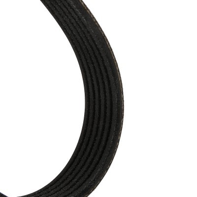 Pasek Klinowy Wielorowkowy RIDEX 305P0391P 305P0391P - foto 4