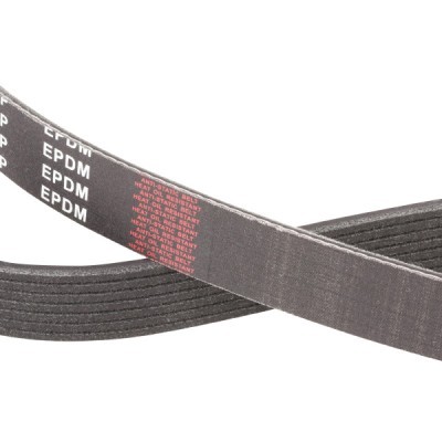 Pasek Klinowy Wielorowkowy RIDEX 305P0492P 305P0492P - foto 5