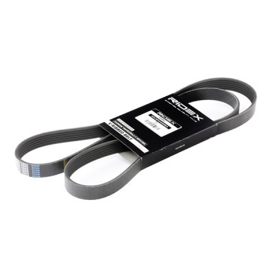 Pasek Klinowy Wielorowkowy RIDEX 305P0147 305P0147 - foto 2