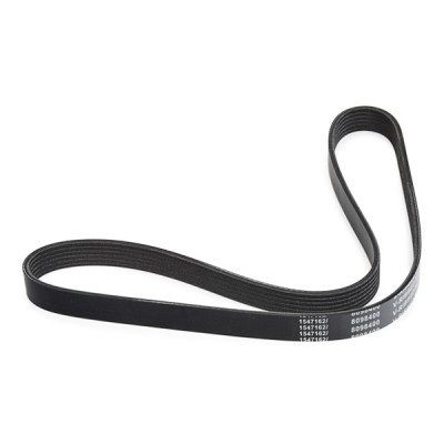 Pasek Klinowy Wielorowkowy RIDEX 305P0055 305P0055 - foto 4