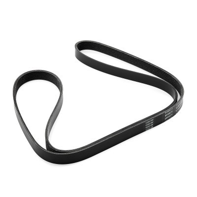 Pasek Klinowy Wielorowkowy RIDEX 305P0338 305P0338 - foto 3