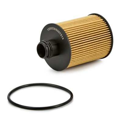 Filtr Oleju RIDEX 7O0058 7O0058 - foto 6