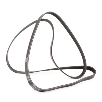 Pasek Klinowy Wielorowkowy RIDEX 305P0119P 305P0119P - foto 3