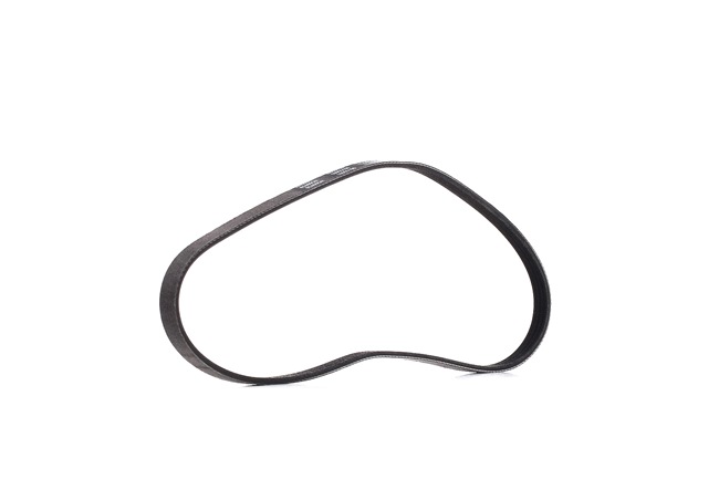 Pasek Klinowy Wielorowkowy RIDEX 305P0375P 305P0375P - foto 1