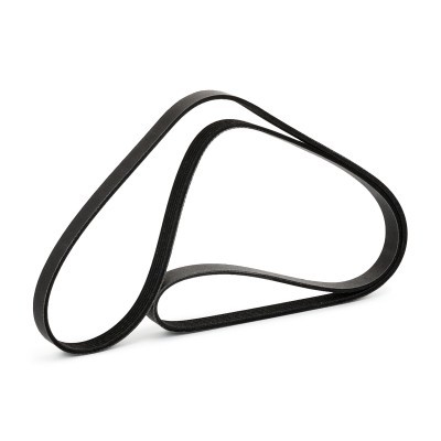 Pasek Klinowy Wielorowkowy RIDEX 305P0169P 305P0169P - foto 4
