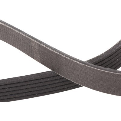 Pasek Klinowy Wielorowkowy RIDEX 305P0178P 305P0178P - foto 5