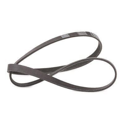Pasek Klinowy Wielorowkowy RIDEX 305P0156P 305P0156P - foto 3