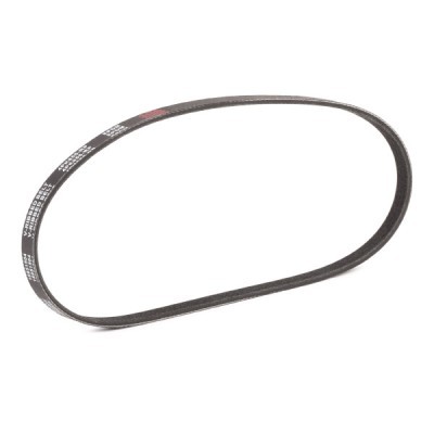 Pasek Klinowy Wielorowkowy RIDEX 305P0014P 305P0014P - foto 3