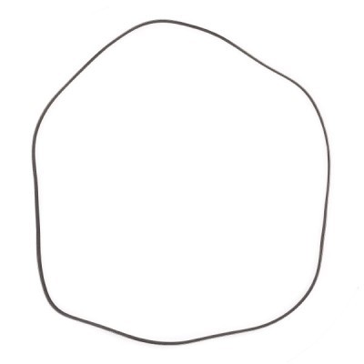 Pasek Klinowy Wielorowkowy RIDEX 305P0092P 305P0092P - foto 4