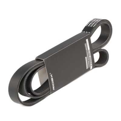 Pasek Klinowy Wielorowkowy RIDEX 305P0289 305P0289 - foto 2