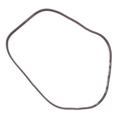 Pasek Klinowy Wielorowkowy RIDEX 305P0160P 305P0160P - foto 4