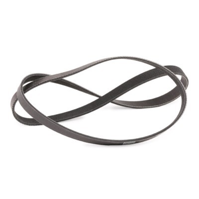 Pasek Klinowy Wielorowkowy RIDEX 305P0177P 305P0177P - foto 3
