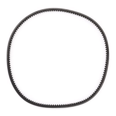Pasek Klinowy RIDEX 10C0073P 10C0073P - foto 4
