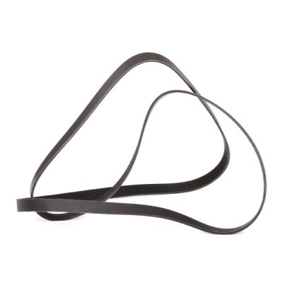 Pasek Klinowy Wielorowkowy RIDEX 305P0531P 305P0531P - foto 3