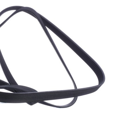 Pasek Klinowy Wielorowkowy RIDEX 305P0343 305P0343 - foto 4