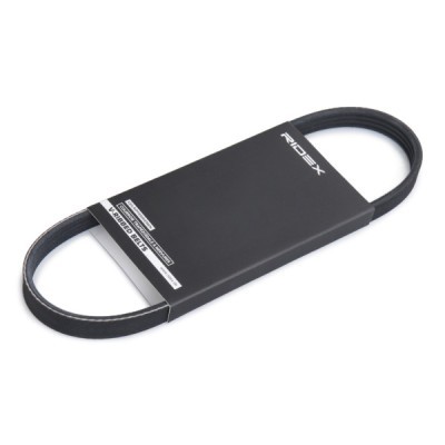 Pasek Klinowy Wielorowkowy RIDEX 305P0339 305P0339 - foto 2